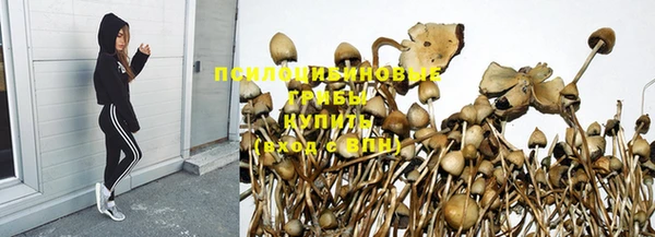 крисы Михайлов
