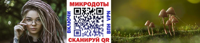 Галлюциногенные грибы Cubensis  Купить  Чёрмоз 